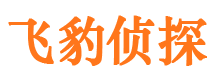 湘西外遇调查取证